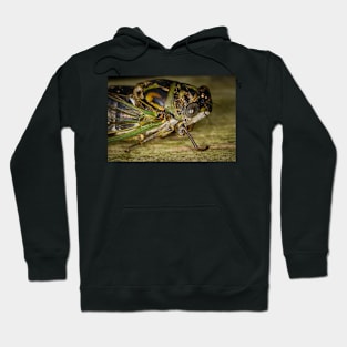 Canadian Cicada 1 Hoodie